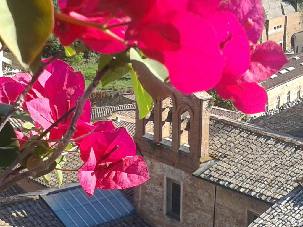 Residenza D'Epoca Campo Regio Relais Bed & Breakfast Siena Exterior foto